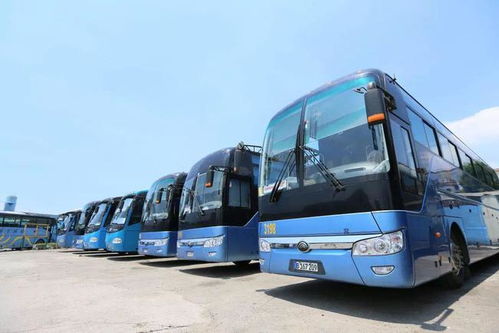 从郑州到哈瓦那 宇通客车助力古巴交通焕新升级，中国智造海外履约记