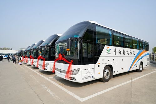 再奏凯歌，宇通旅游客车批量交付，开启高端定制化新篇章
