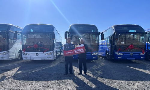 福田欧辉城间客车批量交付安徽多家旅游公司 助力客运服务升级